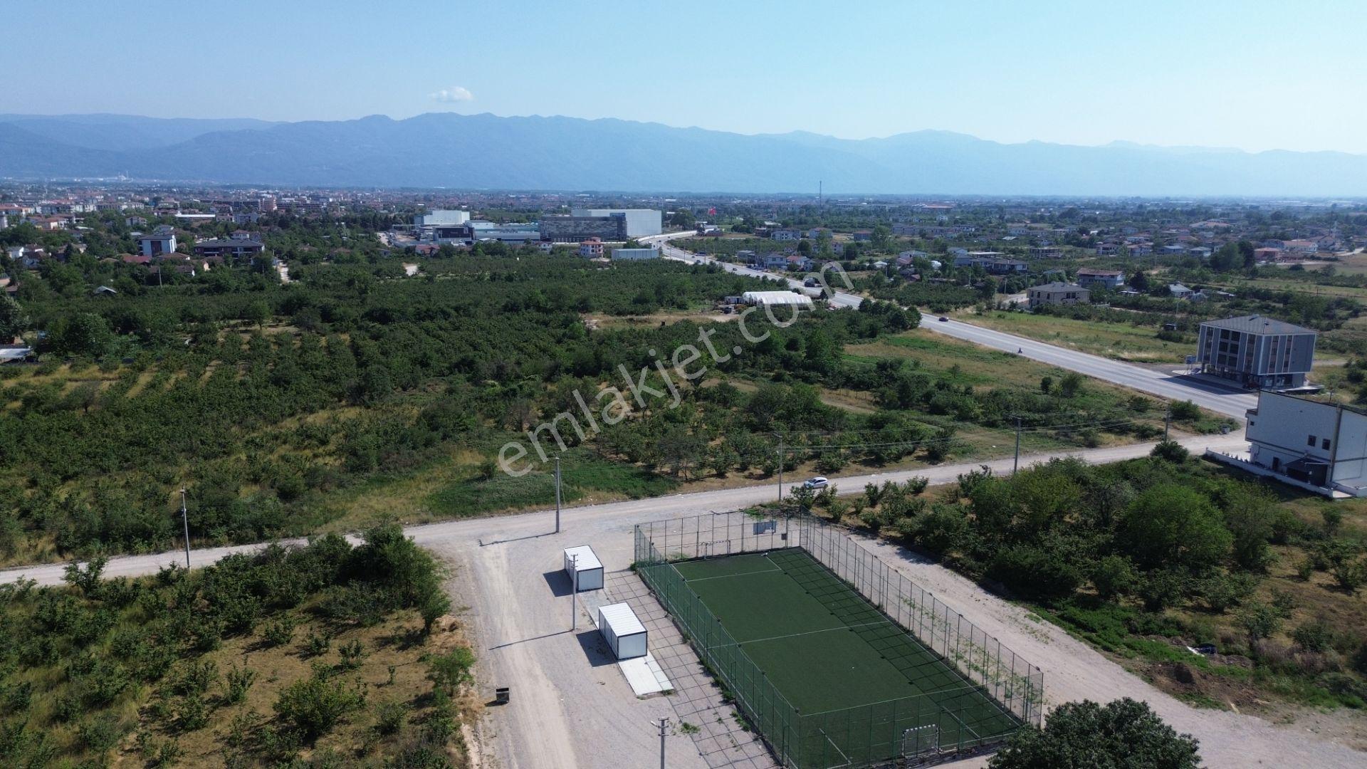 Düzce Merkez Çamköy Mh. Yatırıma Uygun Fırsat Arsa - Görsel 36