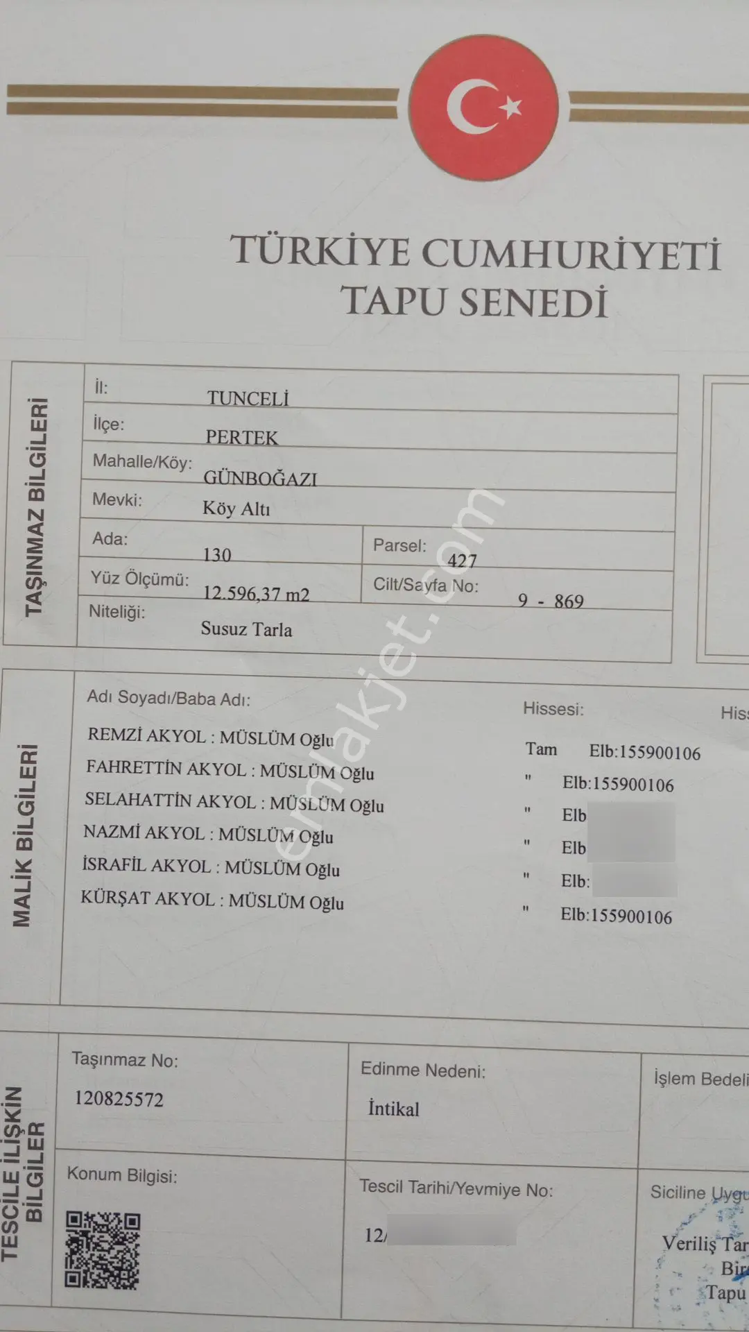 Tunceli Pertek Günbogazı Köyünden Sulu Tarla