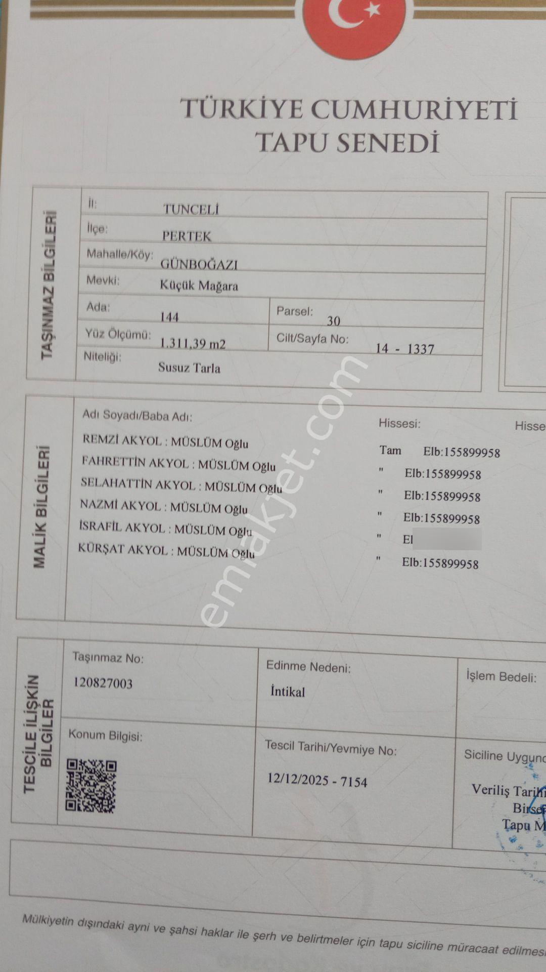 Tunceli Pertek Günbogazı Köyünden Sulu Tarla - Görsel 4