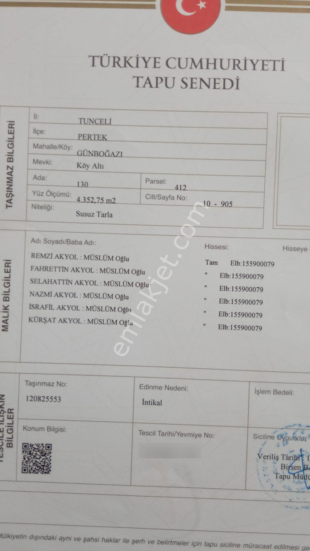 Tunceli Pertek Günbogazı Köyünden Sulu Tarla - Görsel 6