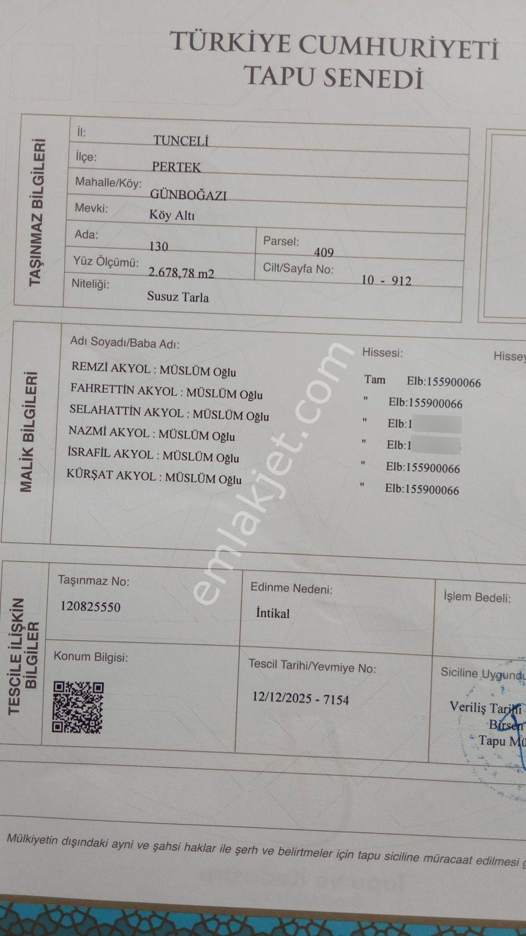 Tunceli Pertek Günbogazı Köyünden Sulu Tarla - Görsel 7
