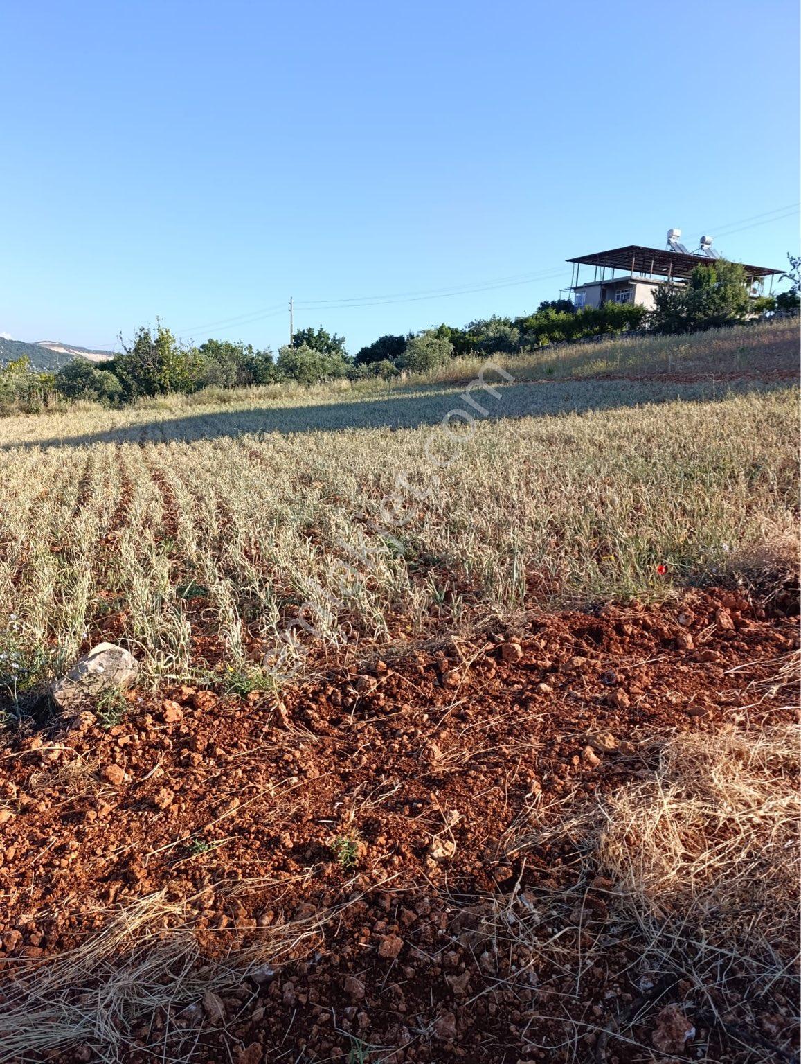 Satılık Tarla