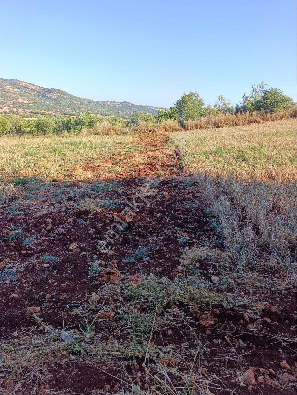 Satılık Tarla - Görsel 8