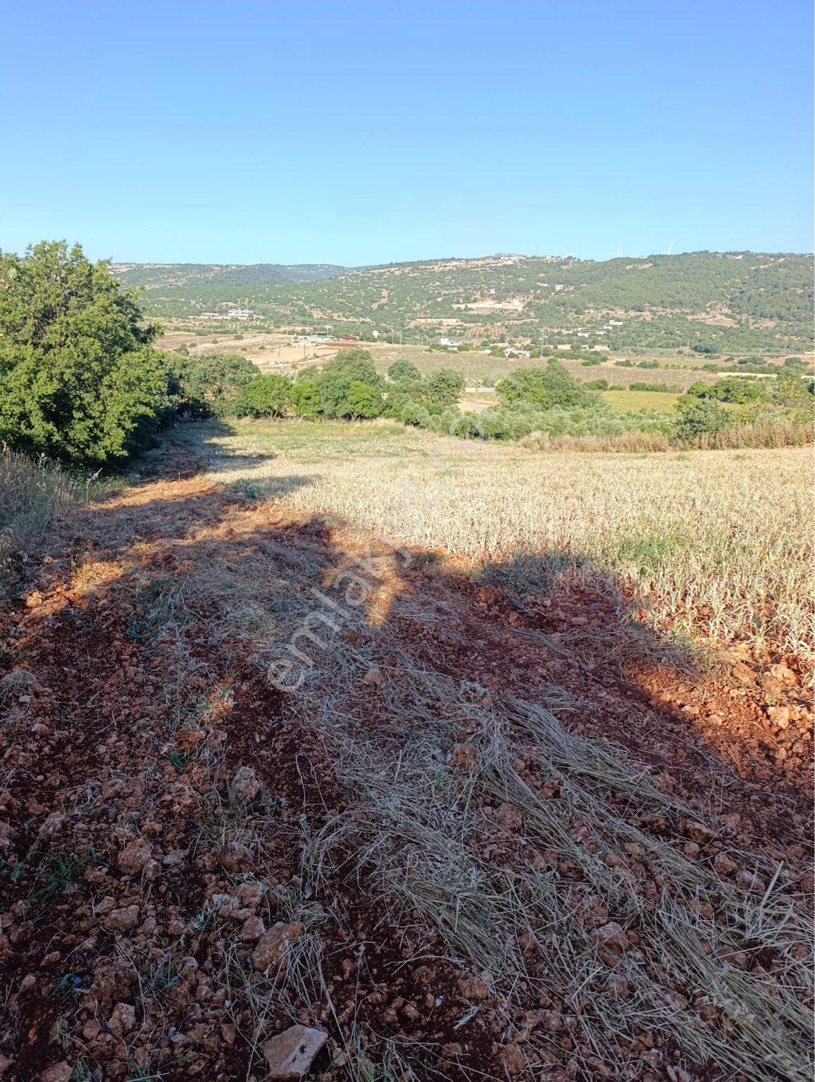 Satılık Tarla - Görsel 7