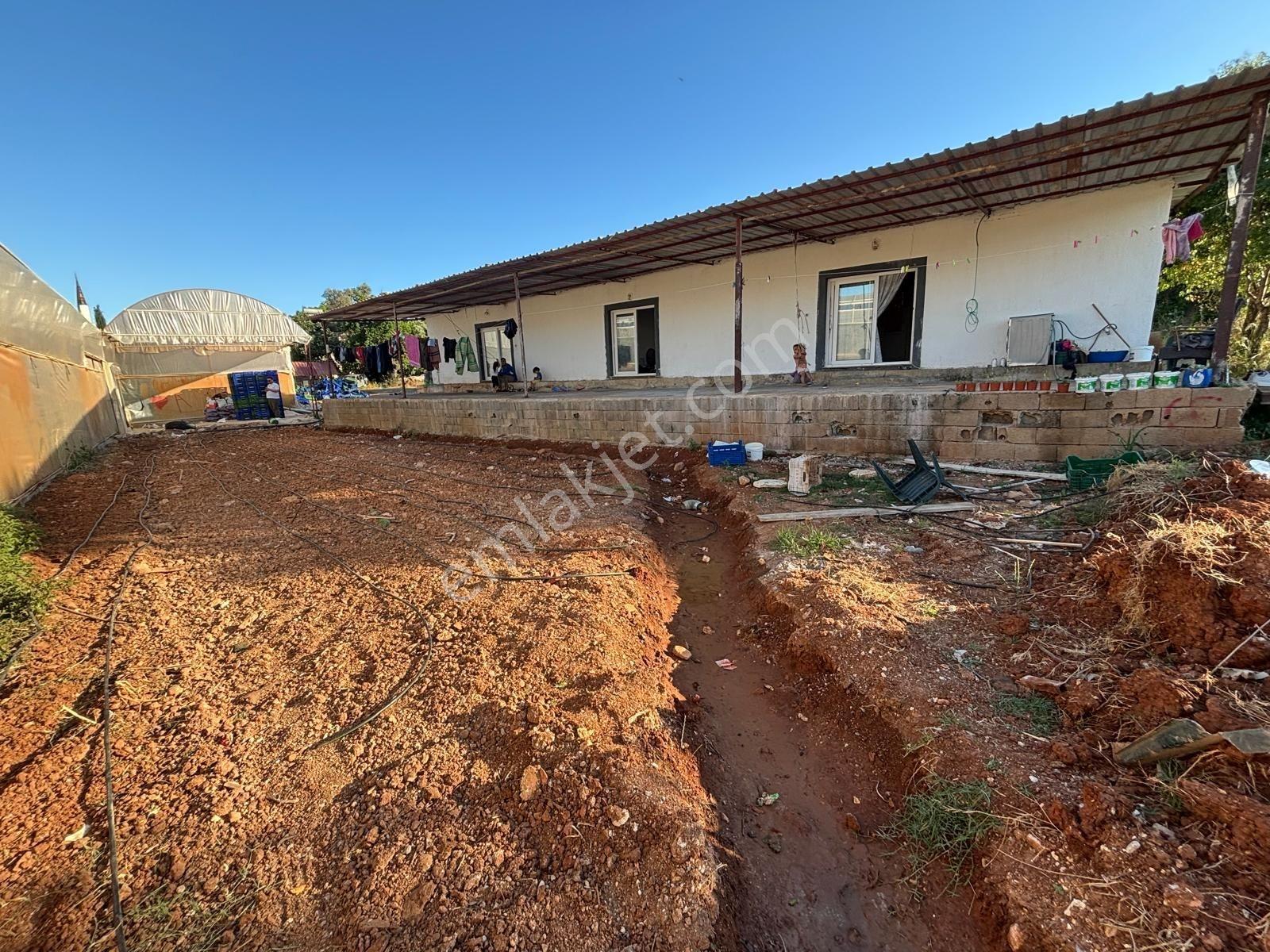 Uğur Emlaktan Yatırım Potansiyeli Yüksek Satılık Sera - Görsel 6