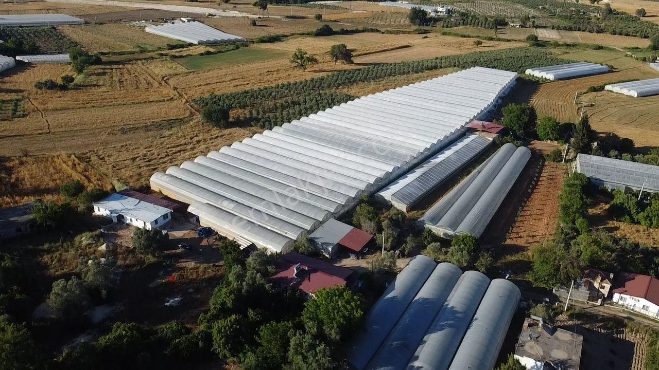 Uğur Emlaktan Yatırım Potansiyeli Yüksek Satılık Sera - Görsel 20