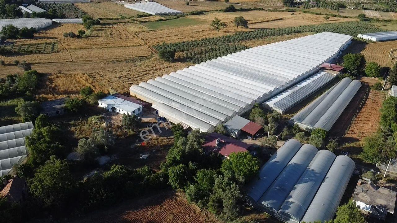 Uğur Emlaktan Yatırım Potansiyeli Yüksek Satılık Sera - Görsel 16