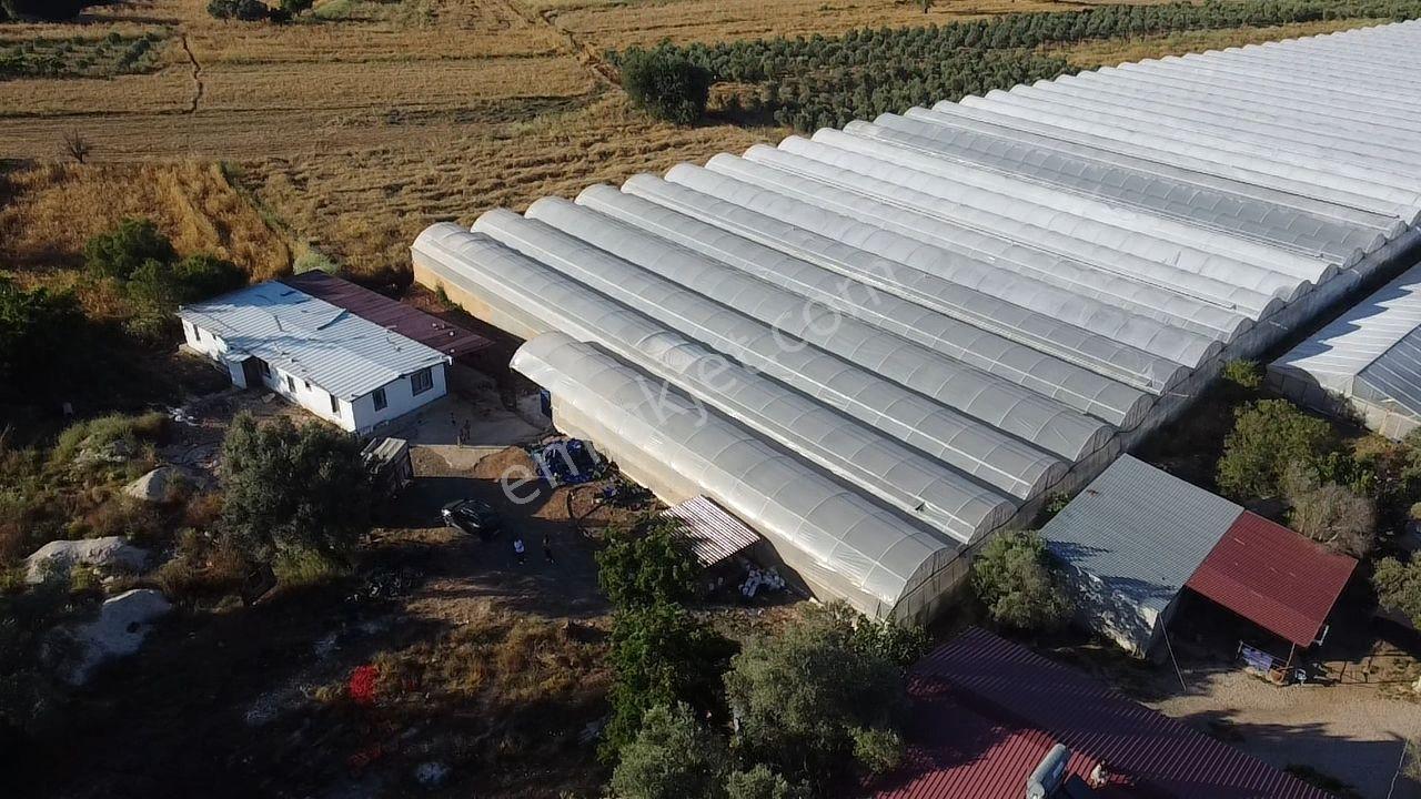 Uğur Emlaktan Yatırım Potansiyeli Yüksek Satılık Sera - Görsel 7