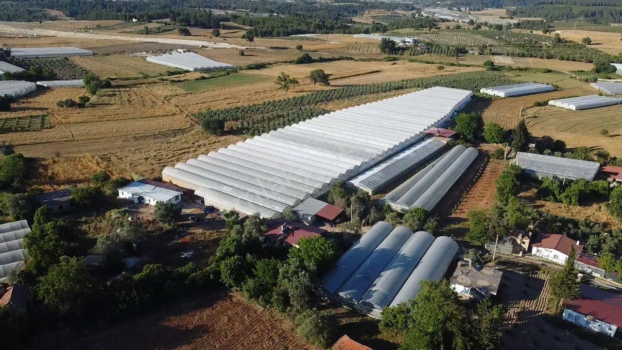 Uğur Emlaktan Yatırım Potansiyeli Yüksek Satılık Sera - Görsel 19