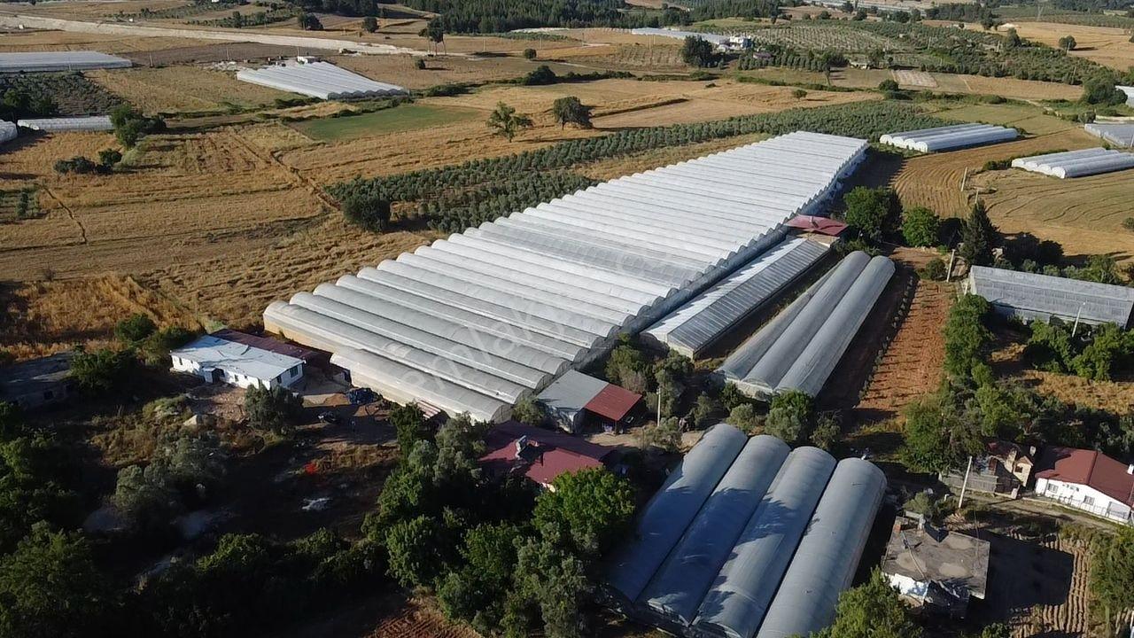 Uğur Emlaktan Yatırım Potansiyeli Yüksek Satılık Sera - Görsel 28