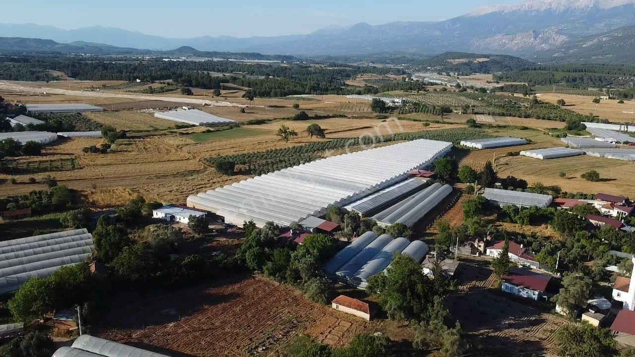 Uğur Emlaktan Yatırım Potansiyeli Yüksek Satılık Sera - Görsel 22