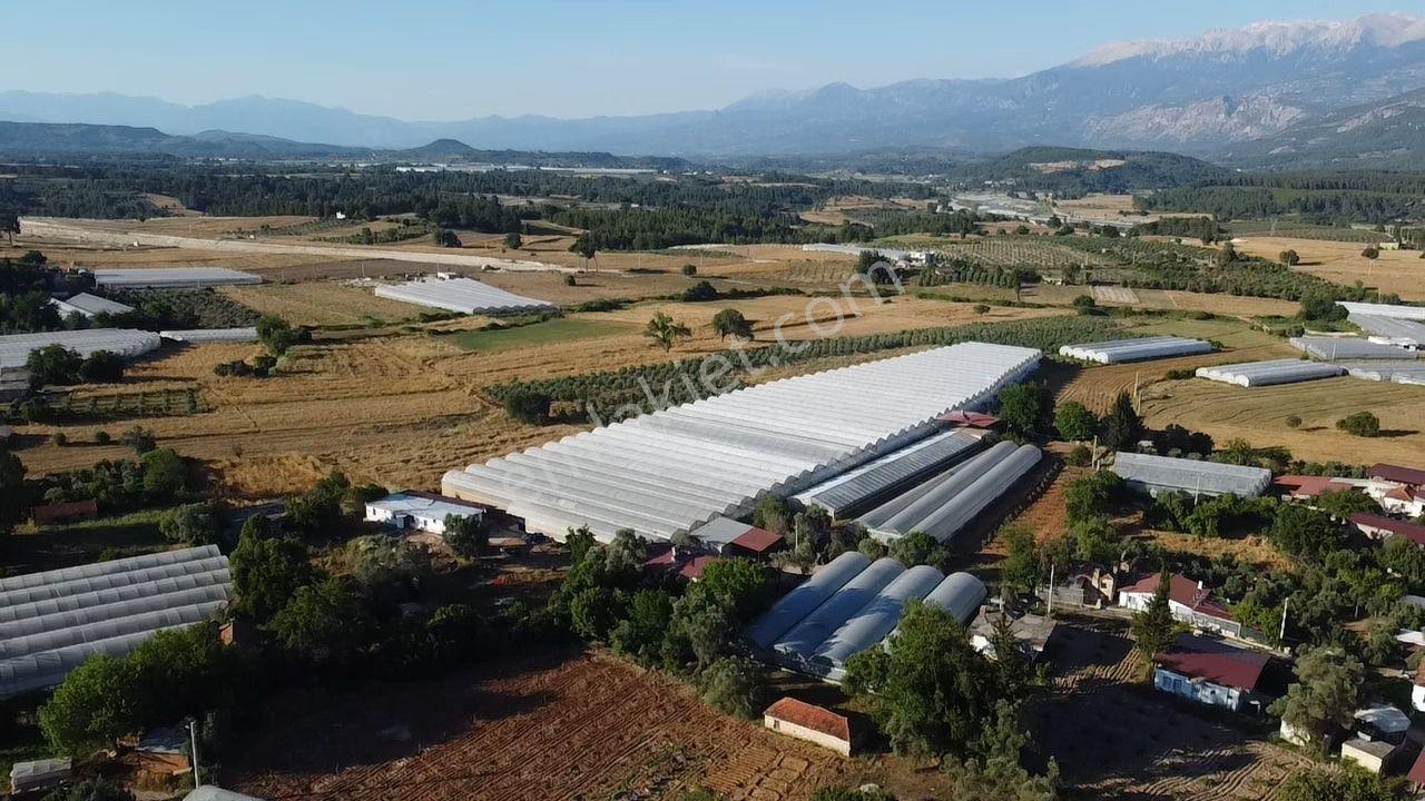 Uğur Emlaktan Yatırım Potansiyeli Yüksek Satılık Sera - Görsel 30