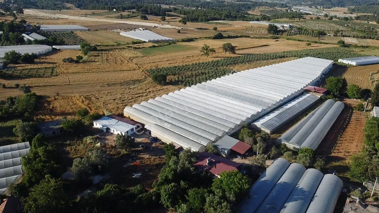 Uğur Emlaktan Yatırım Potansiyeli Yüksek Satılık Sera - Görsel 14