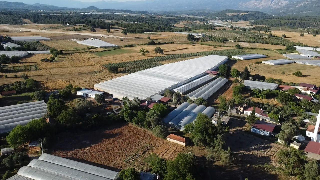 Uğur Emlaktan Yatırım Potansiyeli Yüksek Satılık Sera - Görsel 18