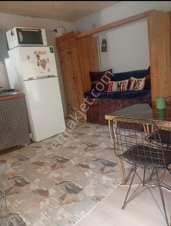 Müstakil Taş Ev - Görsel 12