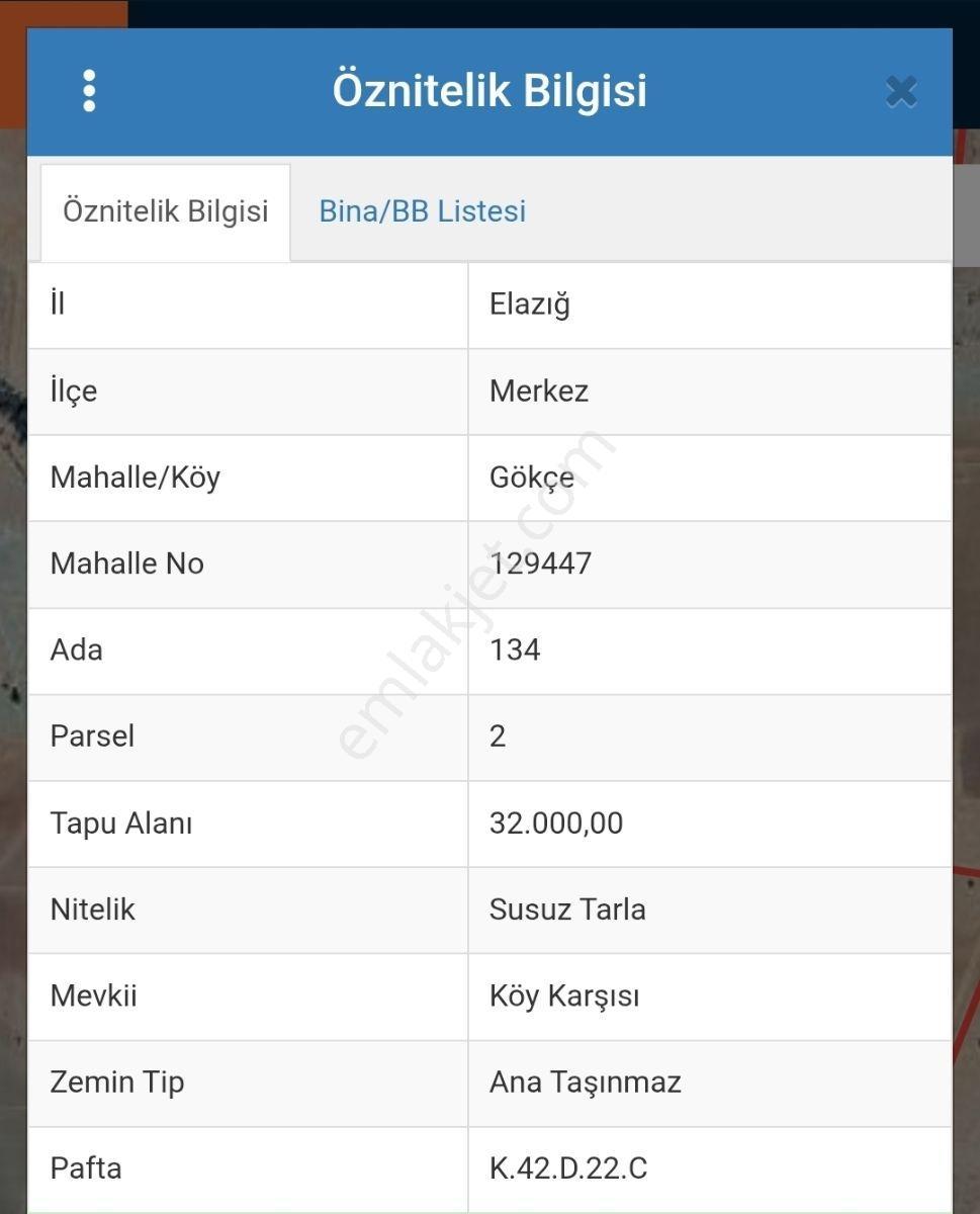 Doğukan Real Estate | Elazığ Gökçe Köyü'nde 32.000 M² Tarla - Görsel 3