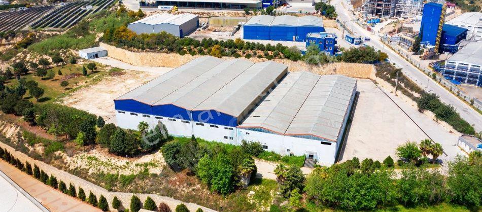 Kiralık Mersin1.organize Sanayi 30,000m2 Arsası 7000kapalı Alan Ve Adanadaki Fabrikalar. - Görsel 11