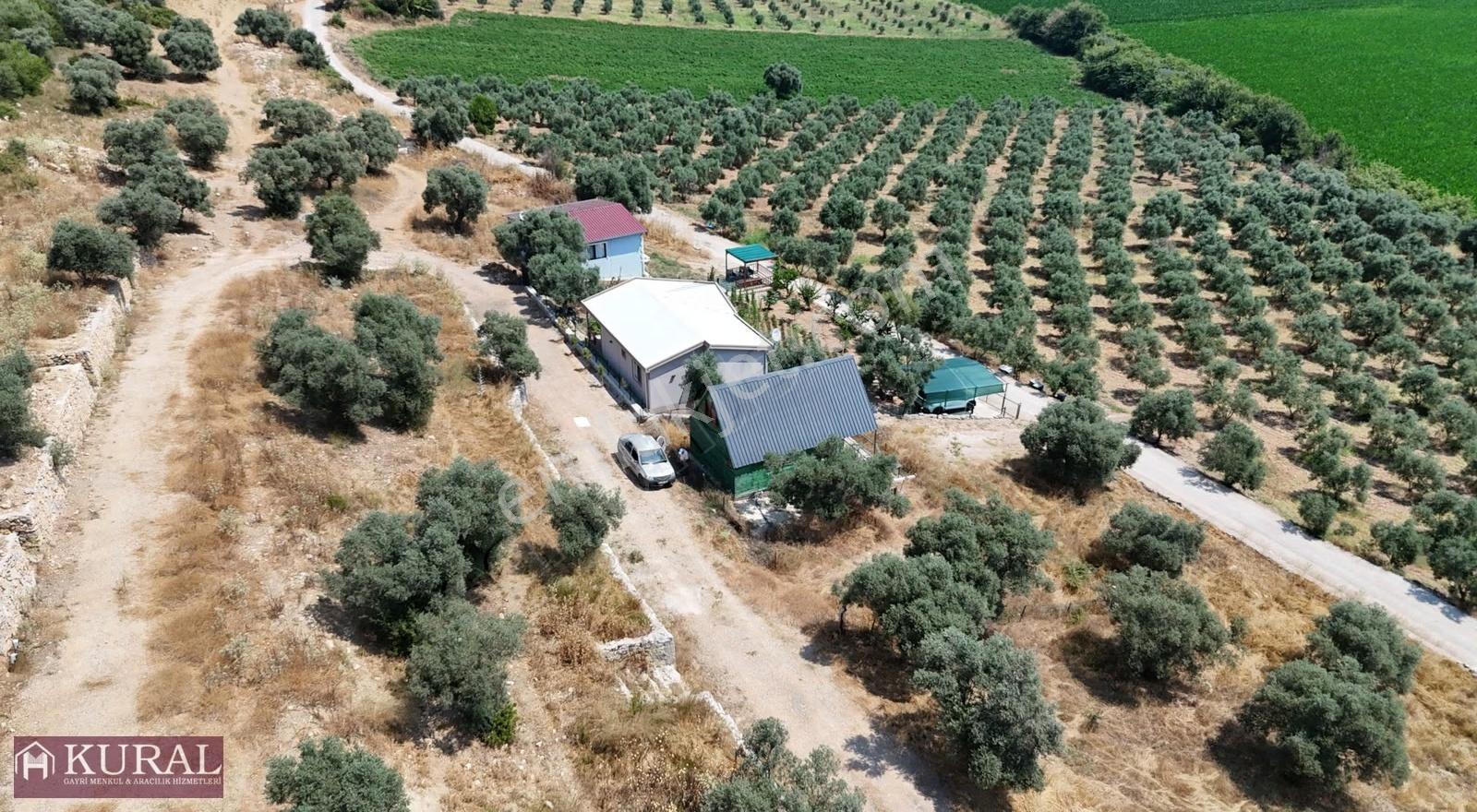 Kooperatif Hobi Bahçesinde Tniyhouse Elektrik Su 300 M2 Arsalı - Görsel 14