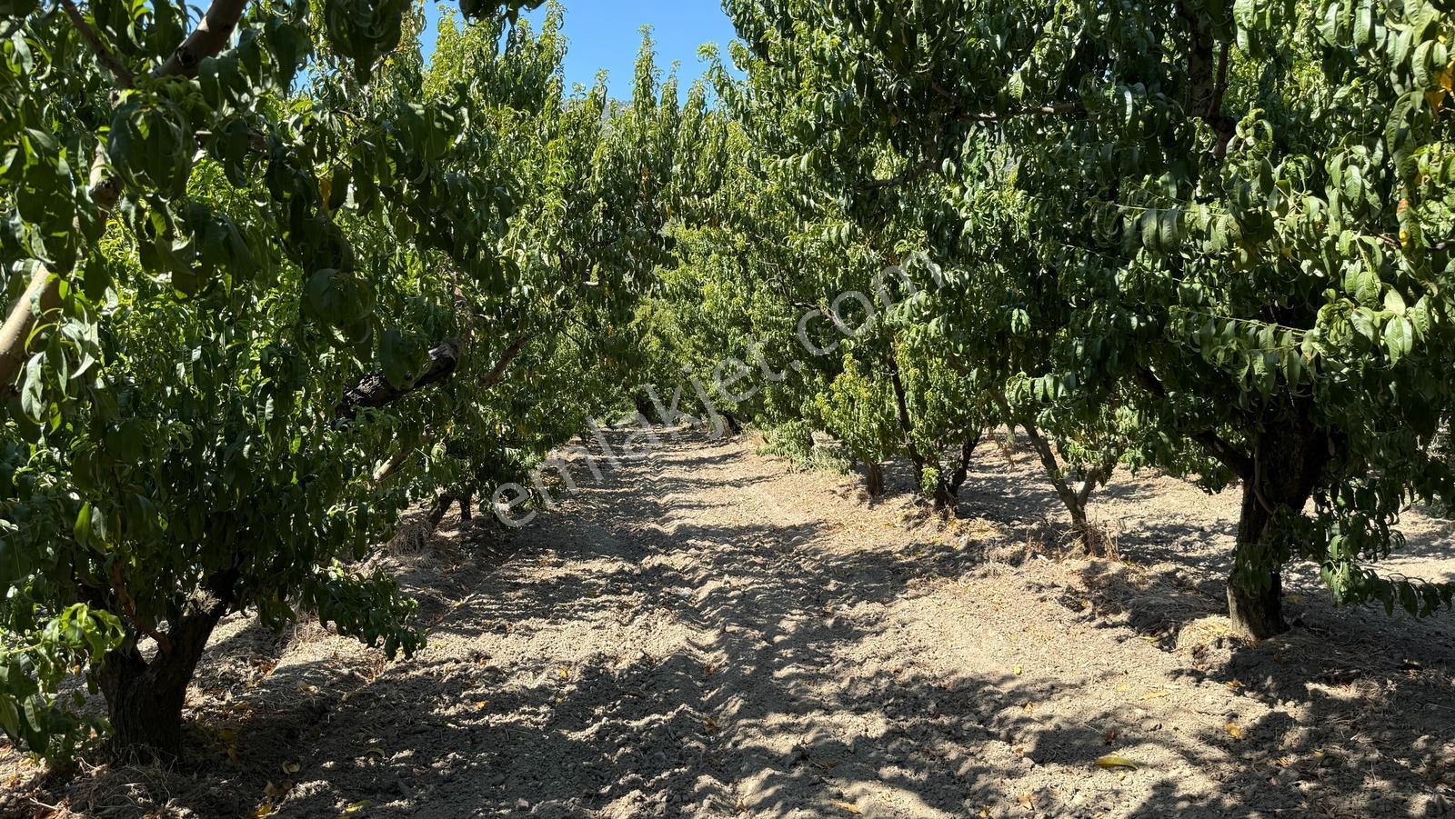 Bursa Kestel Barakfakih Satılık 3425 M2 Yatırım Fırsatı Tarla - Görsel 16