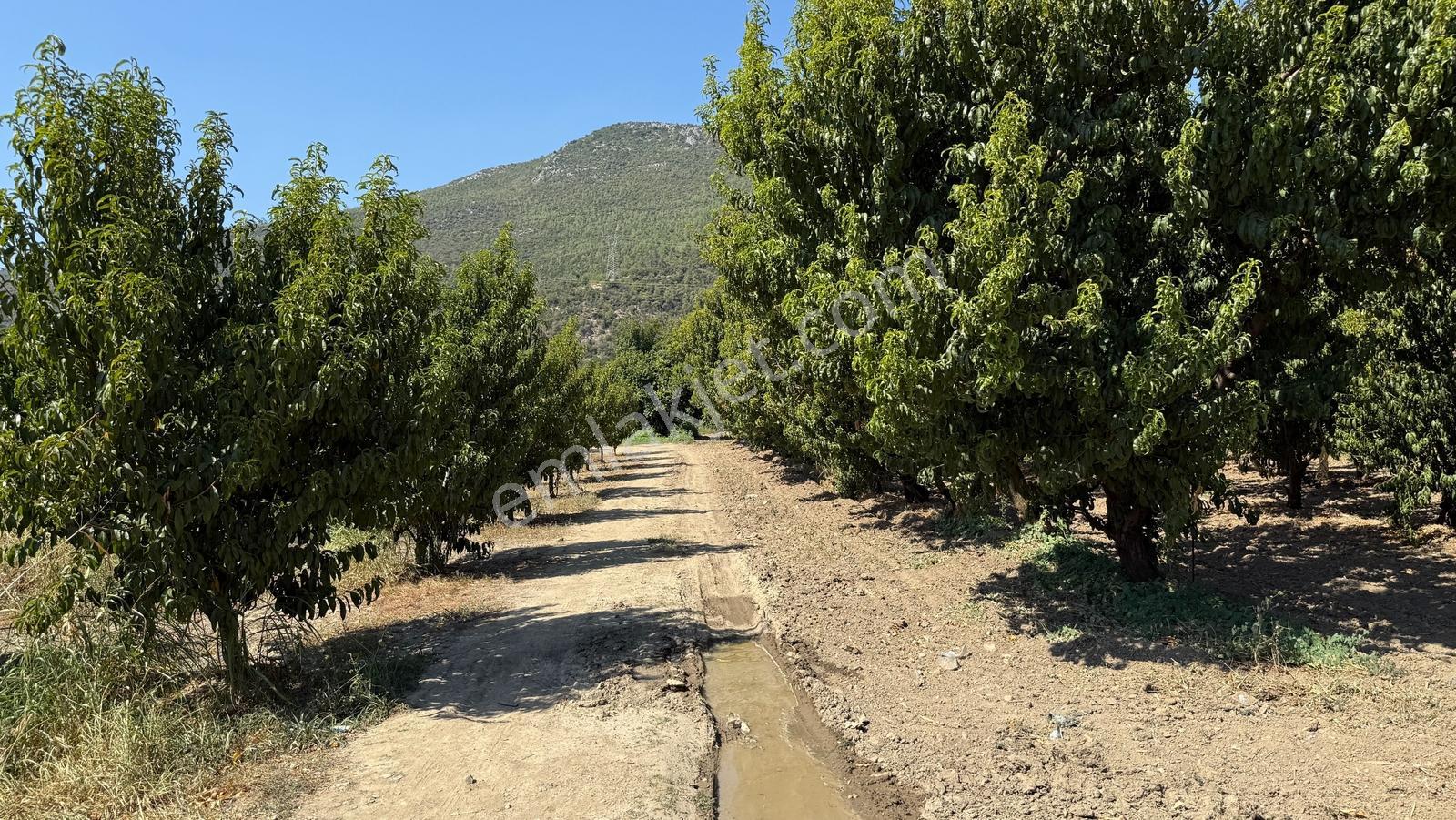 Bursa Kestel Barakfakih Satılık 3425 M2 Yatırım Fırsatı Tarla - Görsel 23