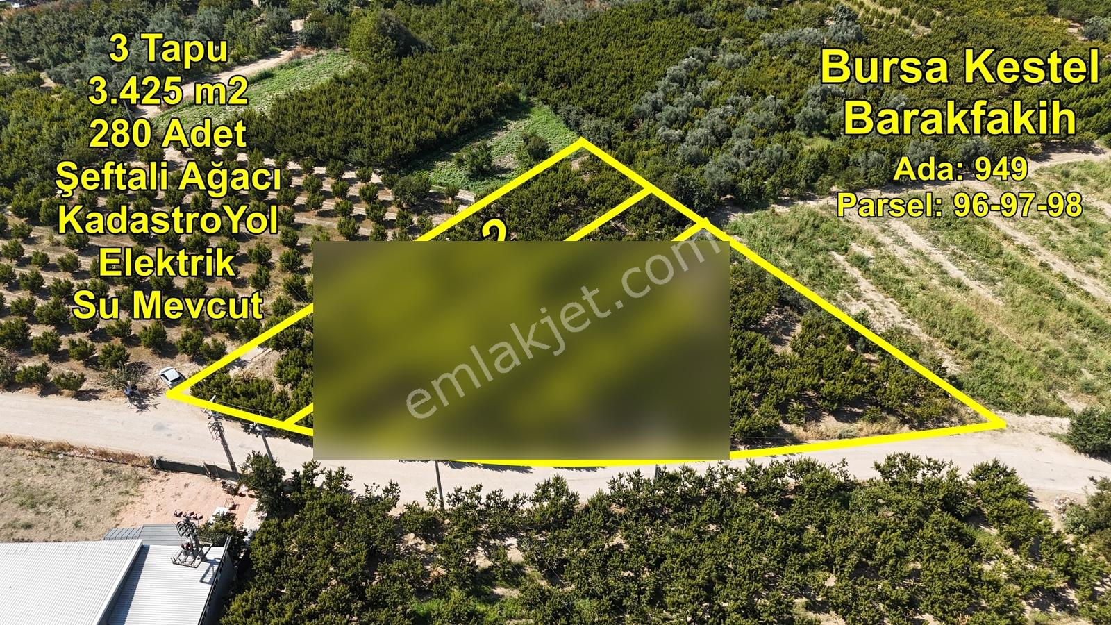Bursa Kestel Barakfakih Satılık 3425 M2 Yatırım Fırsatı Tarla - Görsel 7