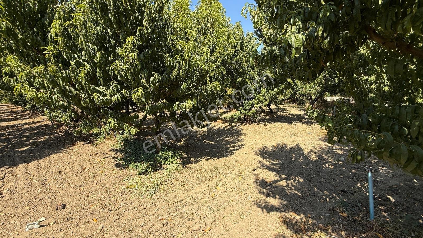 Bursa Kestel Barakfakih Satılık 3425 M2 Yatırım Fırsatı Tarla - Görsel 20