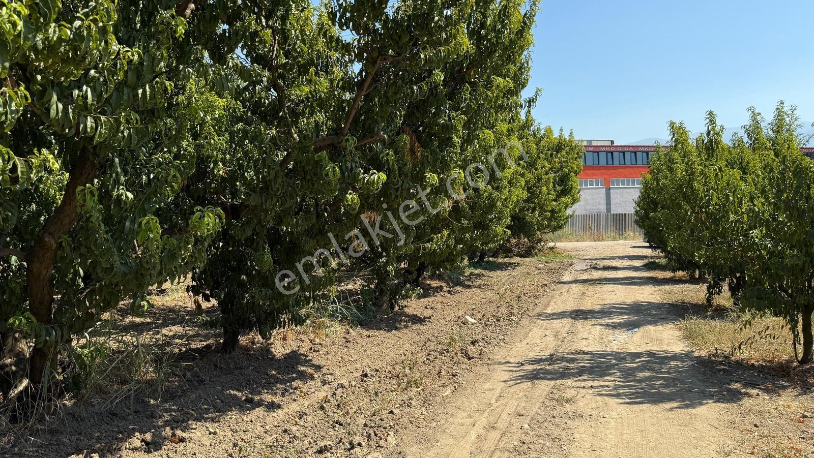 Bursa Kestel Barakfakih Satılık 3425 M2 Yatırım Fırsatı Tarla - Görsel 9