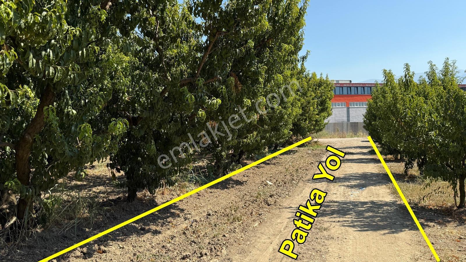 Bursa Kestel Barakfakih Satılık 3425 M2 Yatırım Fırsatı Tarla - Görsel 5