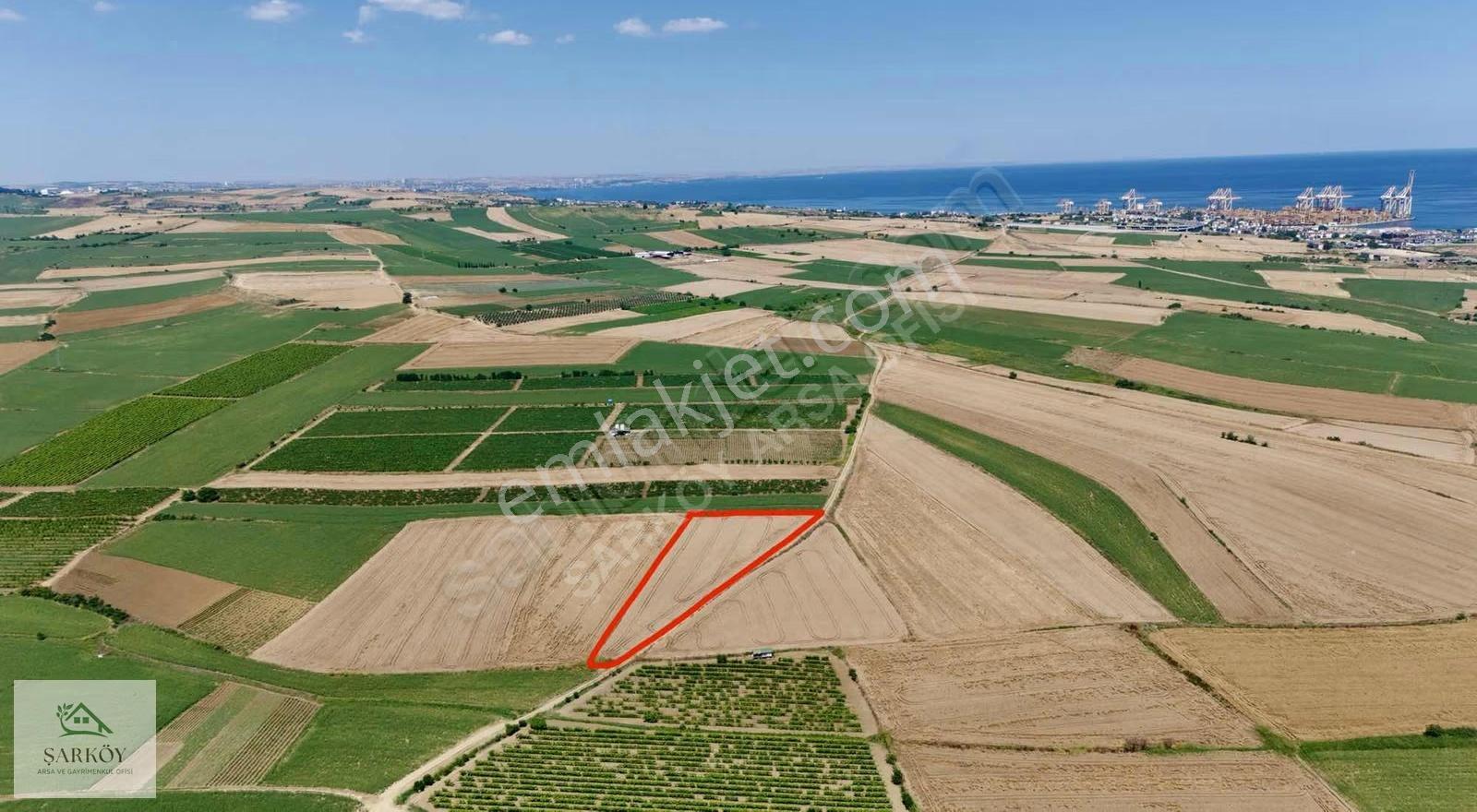 Asyaport'a 2,5km- Lojistik Yatırımlık- Satılık Arazi - Görsel 3