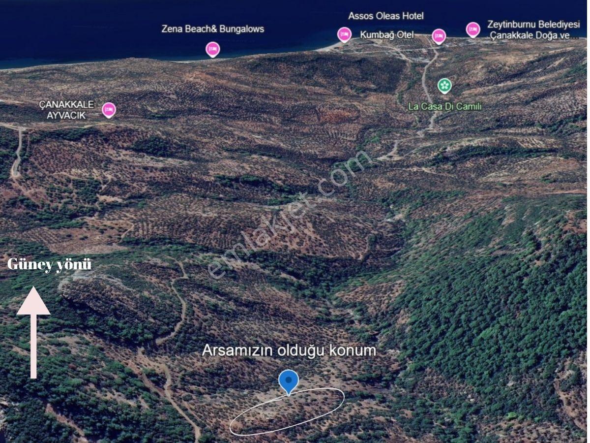Doğa İçinde, Müstakil Tapulu 5991 M² Yatırımlık Arsa – Ayvacık Demirci - Görsel 4