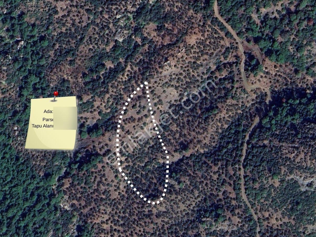 Doğa İçinde, Müstakil Tapulu 5991 M² Yatırımlık Arsa – Ayvacık Demirci - Görsel 5