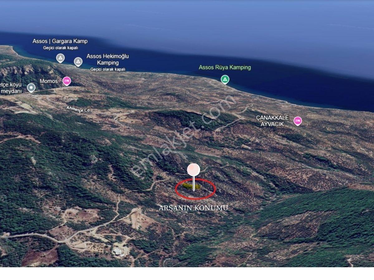 Doğa İçinde, Müstakil Tapulu 5991 M² Yatırımlık Arsa – Ayvacık Demirci - Görsel 2