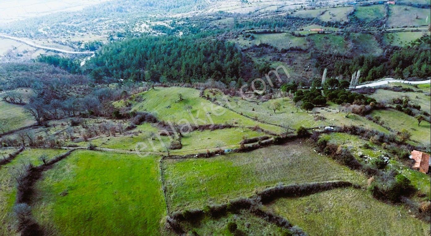Era Söz'den İvrindi'de Köy Merkezine Yakın Tarla