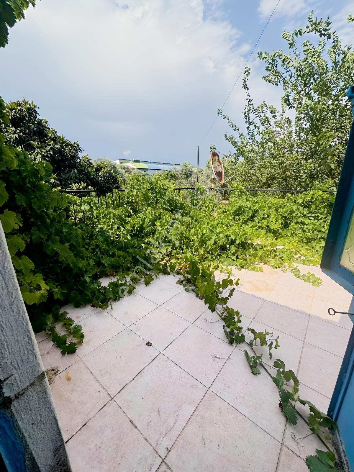 Milas__beçin De İçinde Köy Evi Olan İmarlı Arsa - Görsel 27