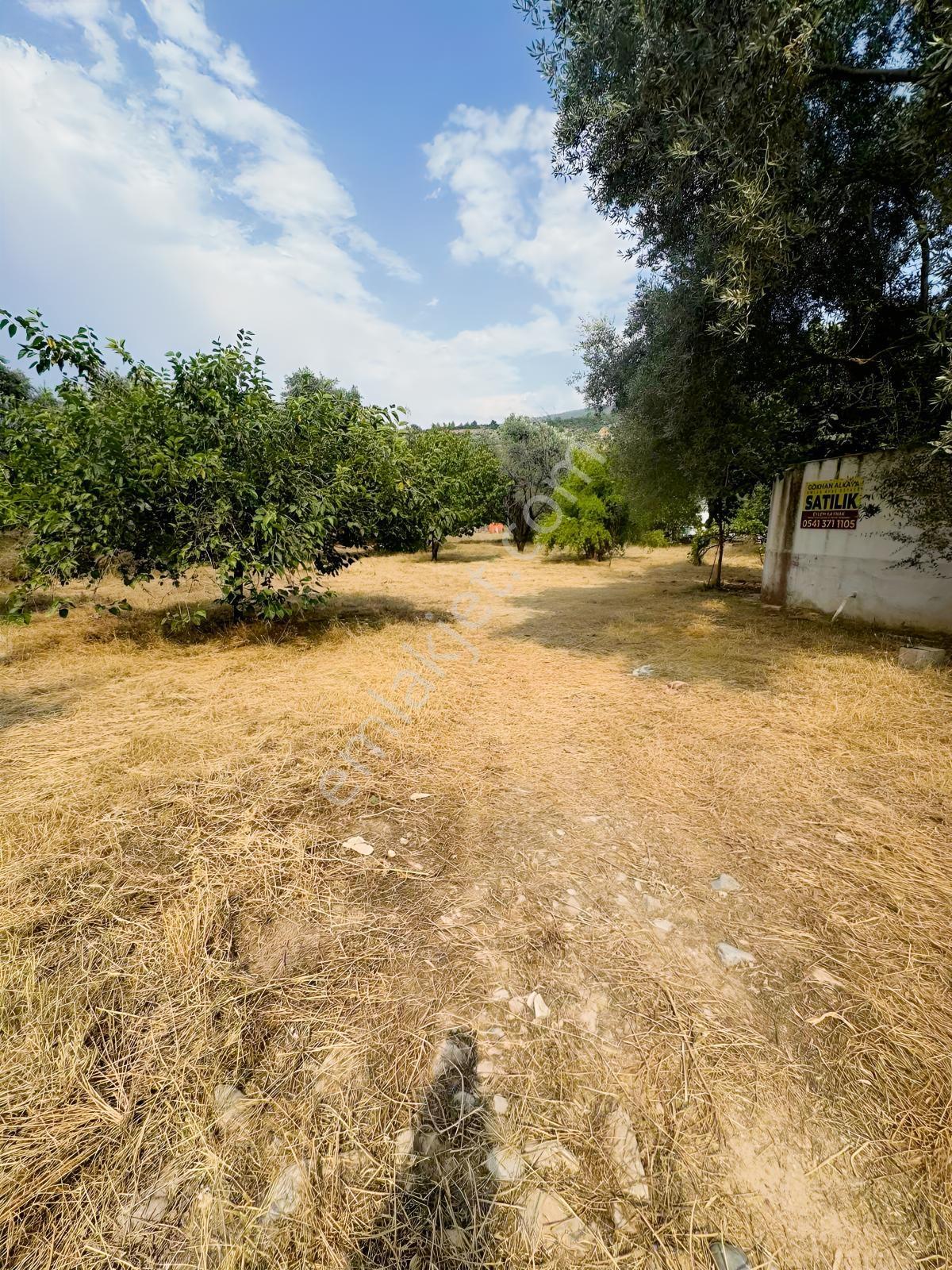 Milas__beçin De İçinde Köy Evi Olan İmarlı Arsa - Görsel 31