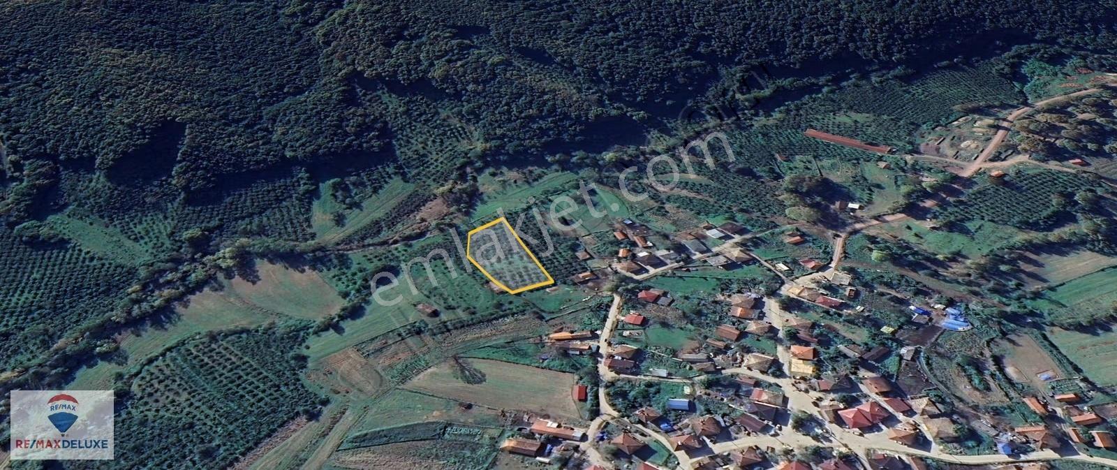 Kandıra Teksen'de 2.939 M2 Satılık Fındık Bahçesi - Görsel 9