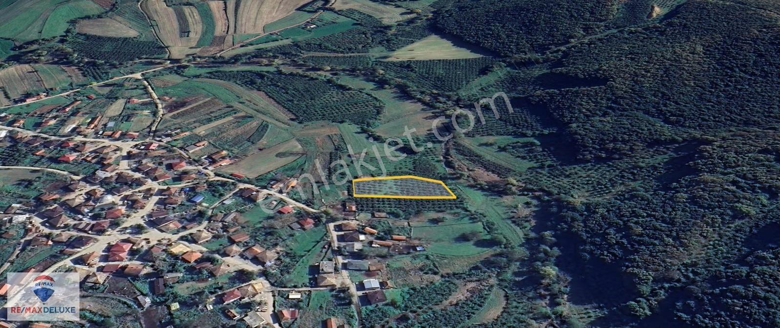 Kandıra Teksen'de 2.939 M2 Satılık Fındık Bahçesi - Görsel 8