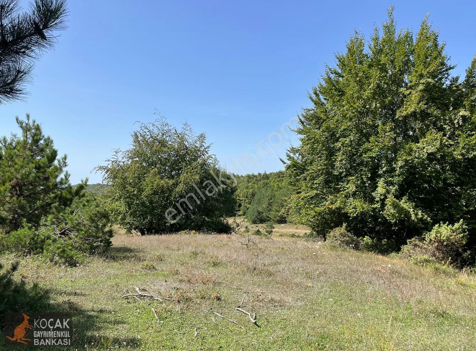 Doğayla İç İçe Olmak İstiyenlere Etrafı Orman 4.700m2 Arazi - Görsel 14