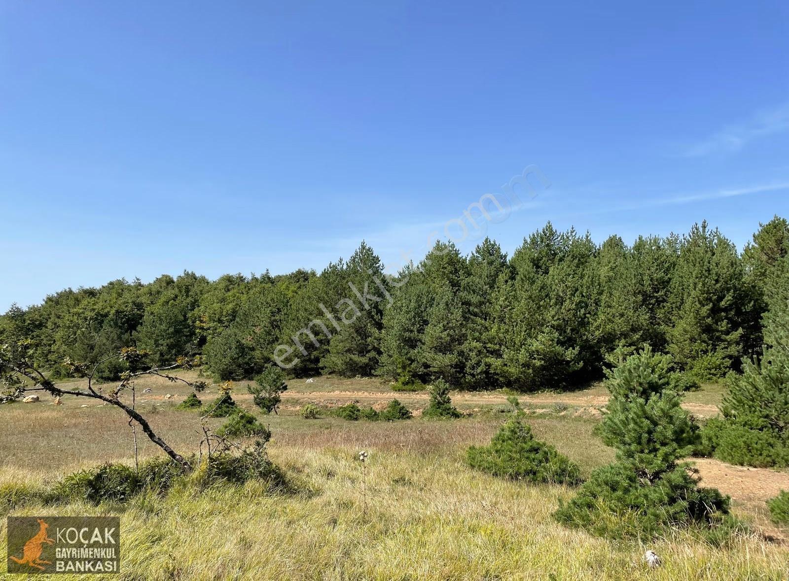 Doğayla İç İçe Olmak İstiyenlere Etrafı Orman 4.700m2 Arazi - Görsel 28