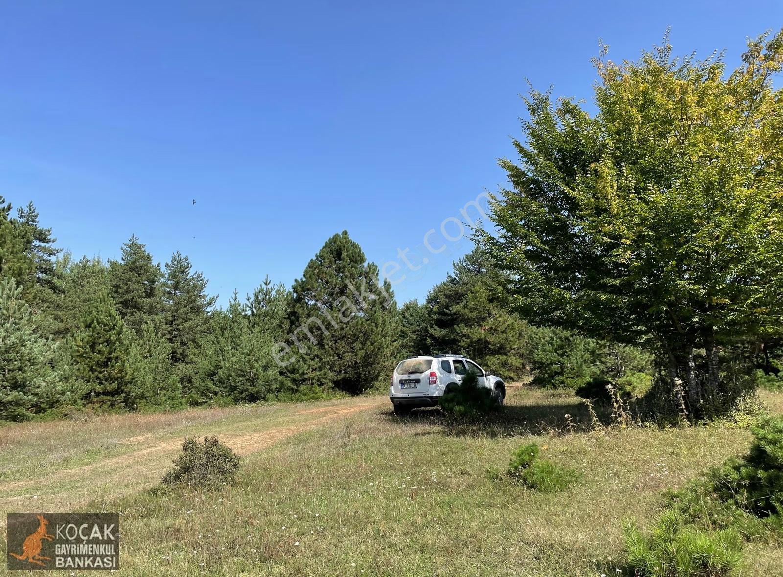 Doğayla İç İçe Olmak İstiyenlere Etrafı Orman 4.700m2 Arazi - Görsel 16