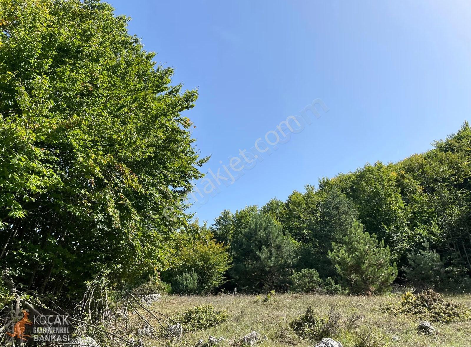 Doğayla İç İçe Olmak İstiyenlere Etrafı Orman 4.700m2 Arazi - Görsel 10