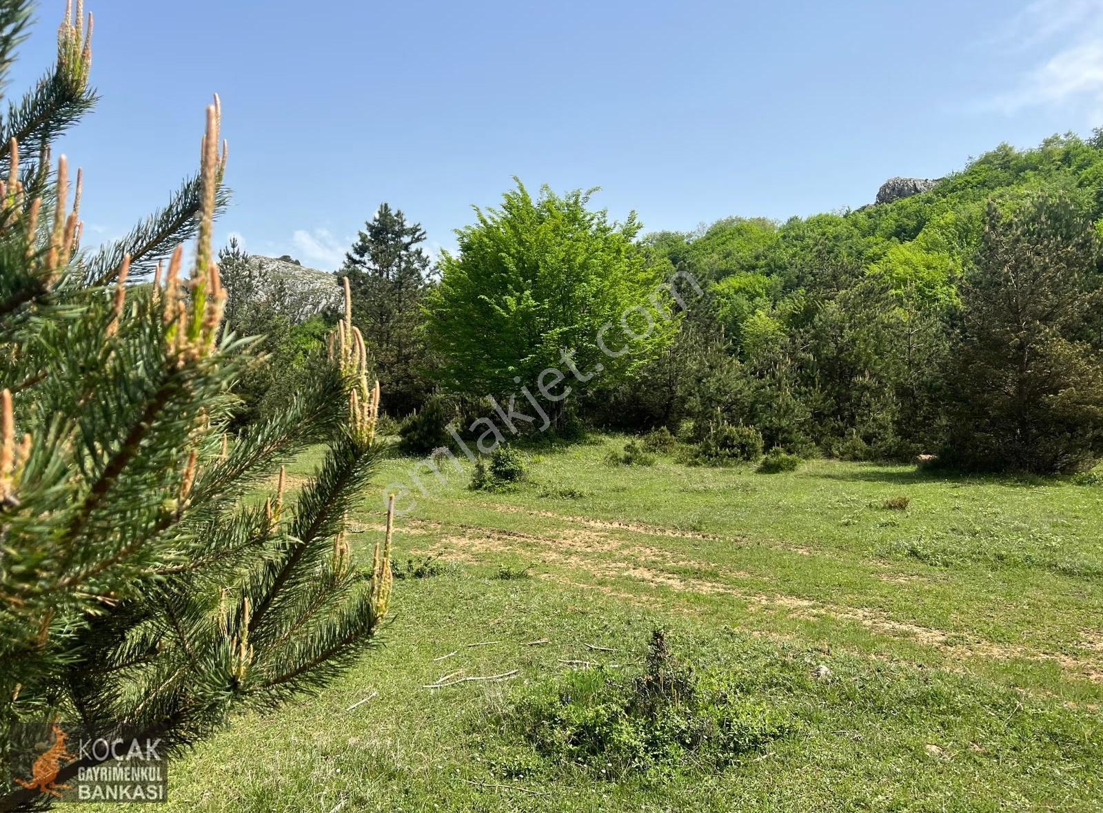 Doğayla İç İçe Olmak İstiyenlere Etrafı Orman 4.700m2 Arazi - Görsel 12