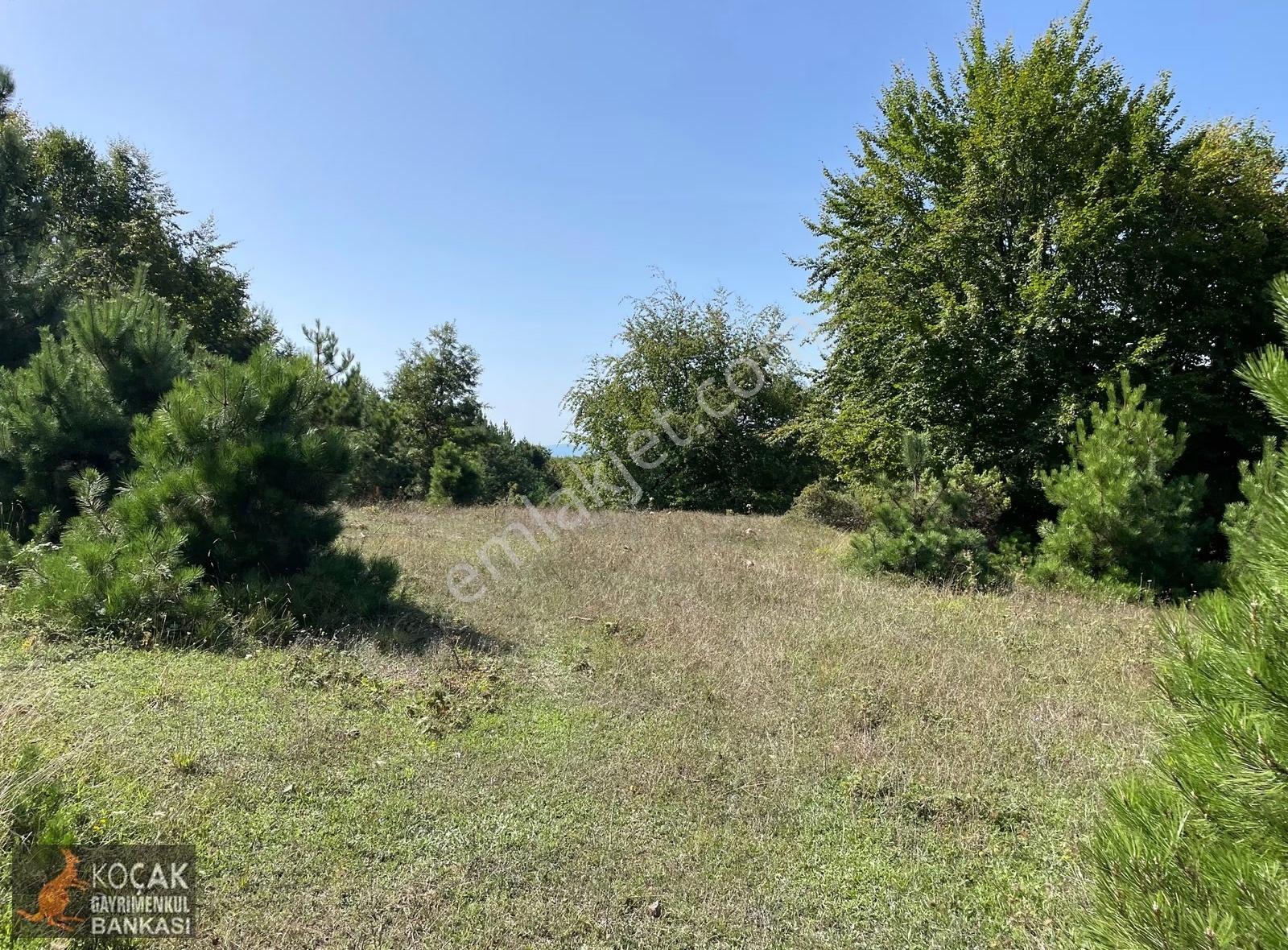 Doğayla İç İçe Olmak İstiyenlere Etrafı Orman 4.700m2 Arazi - Görsel 17