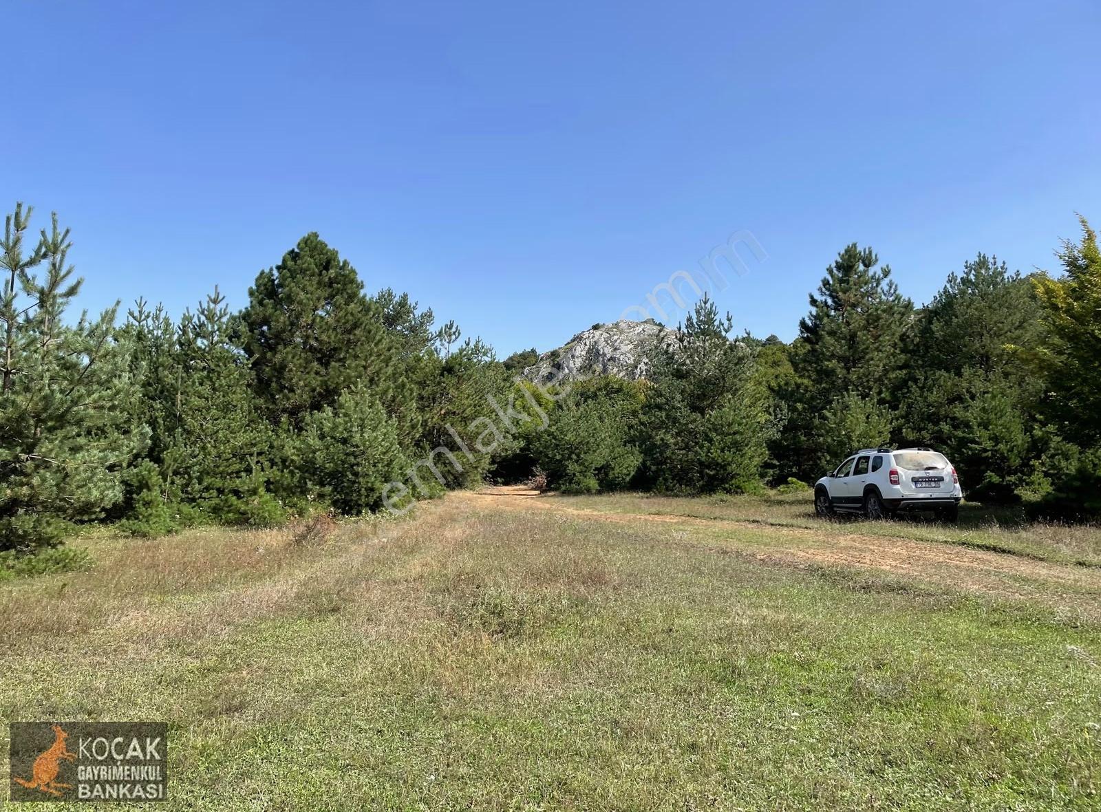 Doğayla İç İçe Olmak İstiyenlere Etrafı Orman 4.700m2 Arazi - Görsel 5