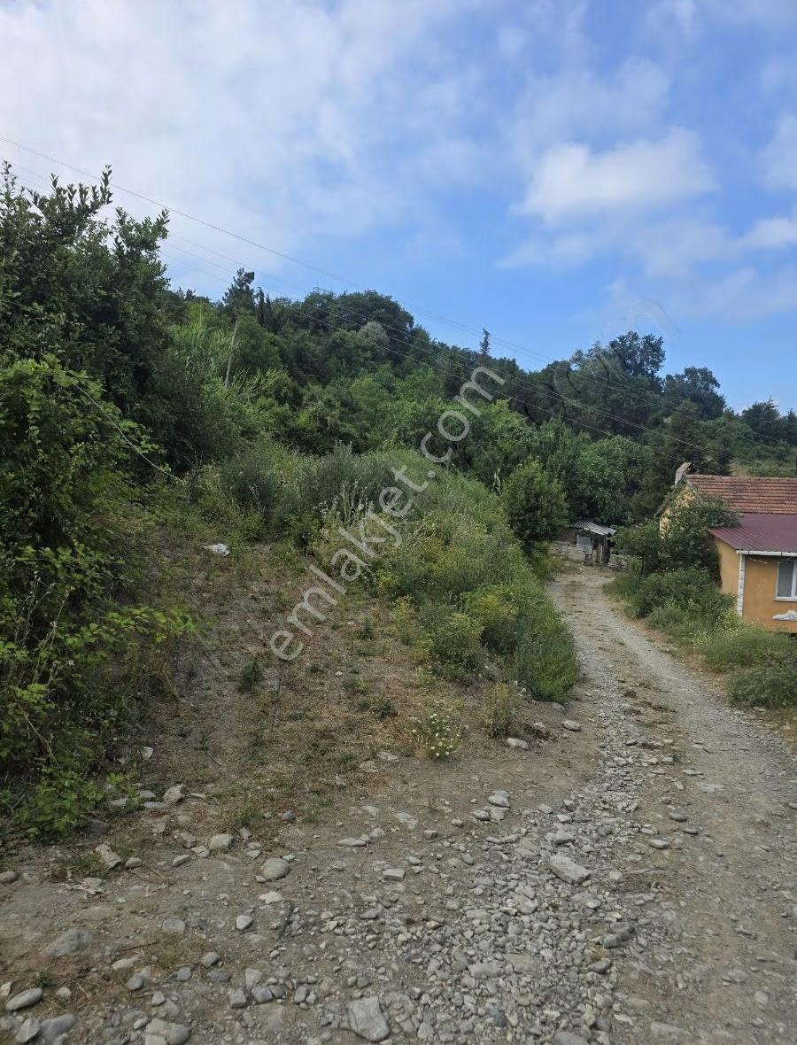 Yenikentte 609 Metrekare Tarla - Görsel 2