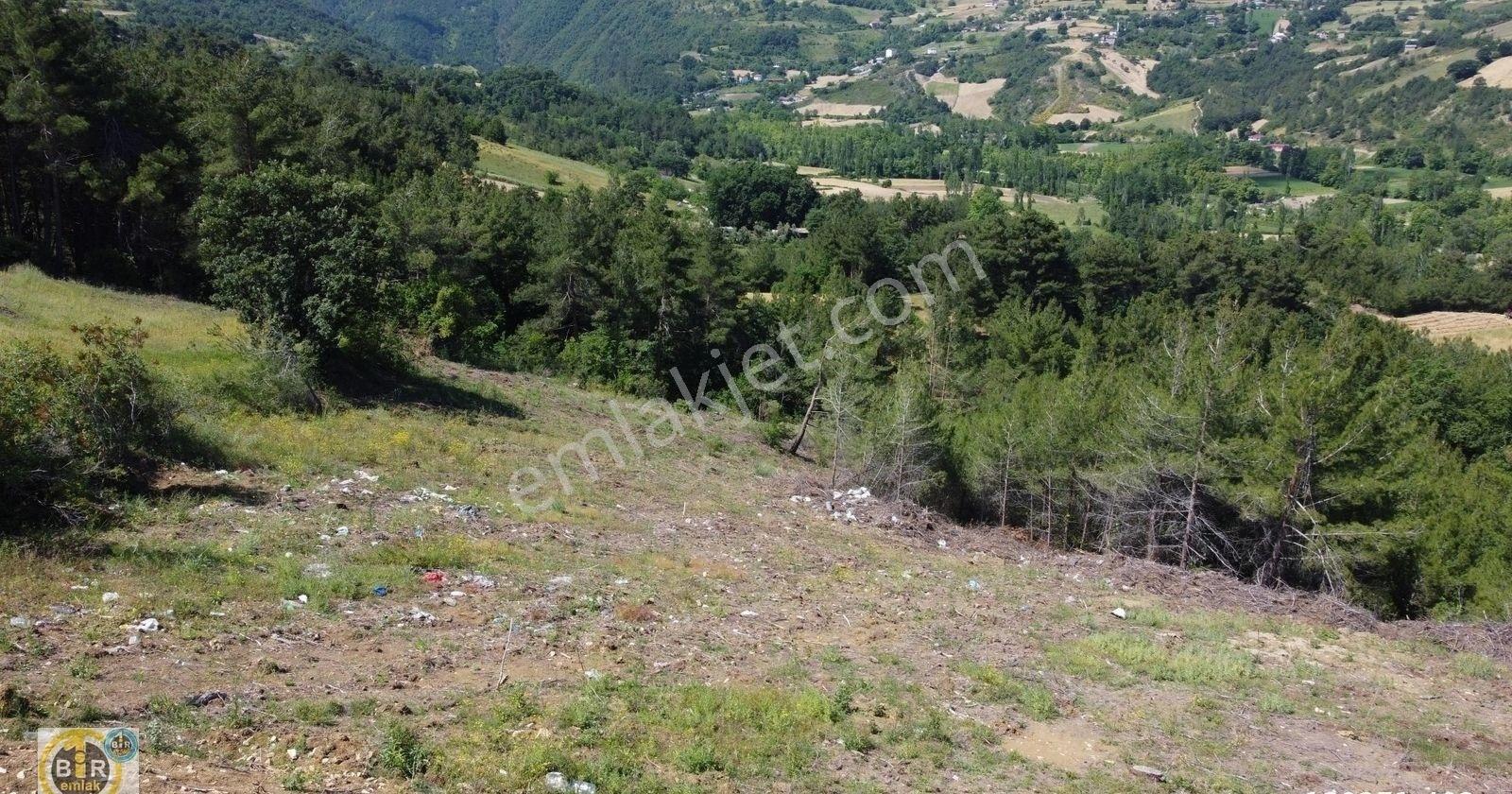 Türkmenlioğlu Köyünde Deniz Manzaralı 5 Dönüm Tarla - Görsel 7