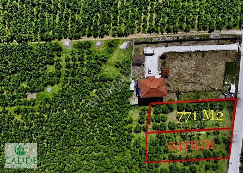 Karapürçek Ahmetlerde Yol Kenarı Doğalgalı 771 M2 Arsa !acil! - Görsel 2