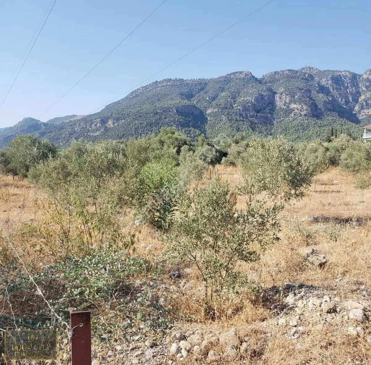 Köyceğiz/zeytinalanı Göl Manzaralı 524 Metrekare Satılık 2b - Görsel 4