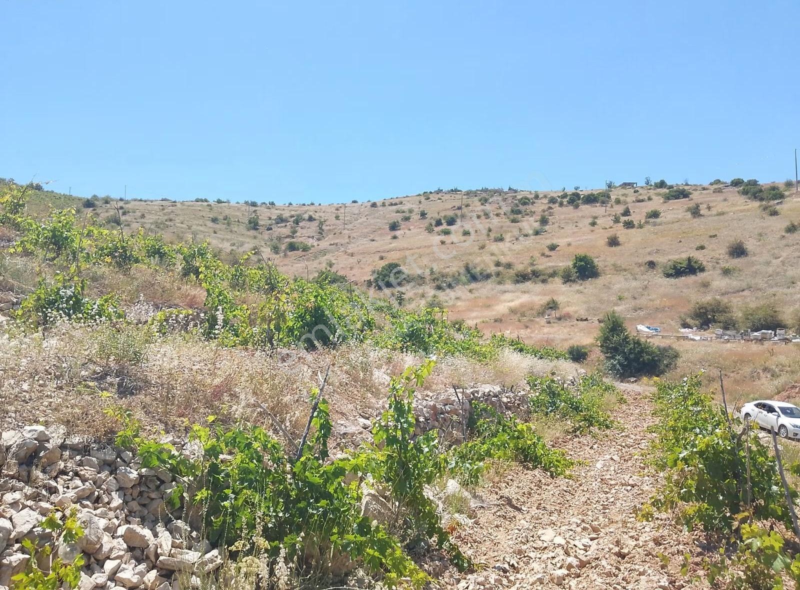 Fourx4 Gayrimenkulden Konak Merkeze 1.5 Km Mesafede Satılık Bağ - Görsel 26