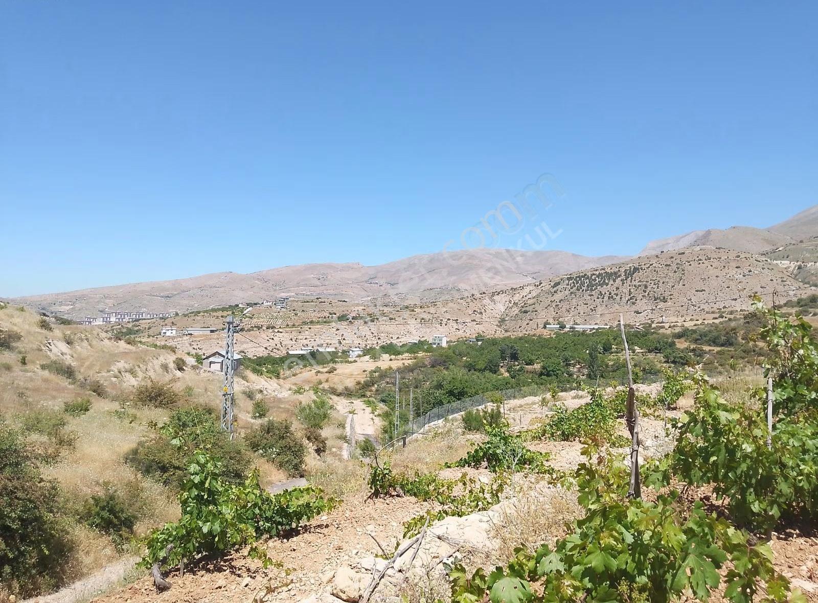 Fourx4 Gayrimenkulden Konak Merkeze 1.5 Km Mesafede Satılık Bağ - Görsel 4